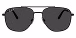 Black / Polarized Black
