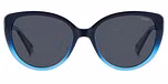 BLUE / BLUE POLARIZED