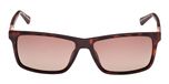 DARK HAVANA / DARK HAVANA / BROWN POLARIZED