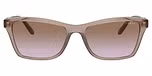 Transparent Brown / Violet Gradient Brown