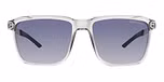 grey - polarized