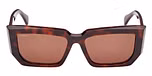 DARK HAVANA / DARK HAVANA / BROWN