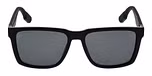 TOTAL SHINY BLACK / SMOKE / POLARIZED