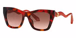 SHINY RED HAVANA / BROWN GRADIENT BROWN
