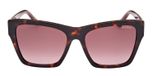 DARK HAVANA / ANIMAL / MONOCOLOR / GRADIENT BROWN