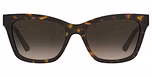 HAVANA (BROWN SHADED GRADIENT)