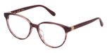 BROWN W/VIOLET STRIPED