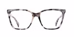 BLACK & WHITE TORTOISE