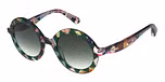 GREEN BOTIS SUN / GRADUATED