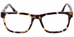 TOKYO / COBALT TORTOISE