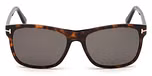 DARK HAVANA / SMOKE POLARIZED