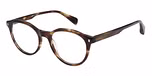 GLOSS CRYSTAL BROWN HORN