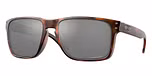 MATTE BROWN TORTOISE / havana / prizm black