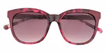 Gloss purple tort / Solid Burgundy • Purple grad (Cat 3)