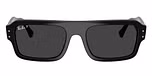 Black / Polarized Black