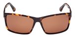 DARK HAVANA / DARK HAVANA / BROWN POLARIZED
