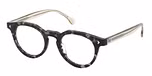 SHINY GREY/BLACK HAVANA