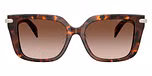 Luggage Tortoise / Tortoise / Smoke Gradient