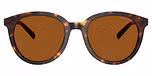 Dark Tortoise / Brown Solid