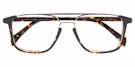 TORTOISE DARK SHINY