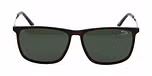 BROWN MEDIUM MATT / Polarized