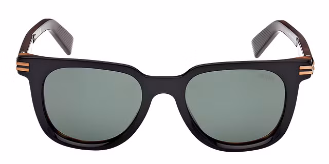 Ermenegildo Zegna - EZ0248