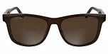 TRANSPARENT DARK BROWN