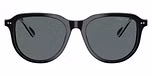 Shiny Black / Polarized Dark Grey