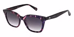 GLOSS MULTI PURPLE TORT / GRADUATED