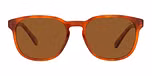 Havana / Brown Polar / Polarized