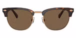 Shiny Brown Tortoise / Brown