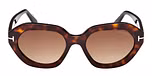 Dark Havana / Dark Havana / gradient brown