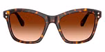 Havana / Tortoise / Gradient Brown