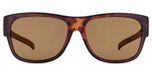 TRANSPARENT HAVANA (BROWN POLARIZED)