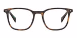 HAVANA (ECO ACETATE (EA))