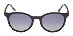 SHINY BLACK / SHINY BLACK / SMOKE POLARIZED