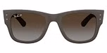 Sand Brown / Polarized Brown Gradient