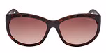 DARK HAVANA / DARK HAVANA / GRADIENT BROWN