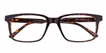Dark Tortoiseshell