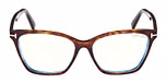 DARK HAVANA / DARK HAVANA