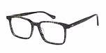 Black / Tort