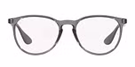 TRANSPARENT GREY / grey