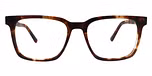 Brown / Tortoise