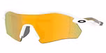 Polished White / Prizm 24K Polarized