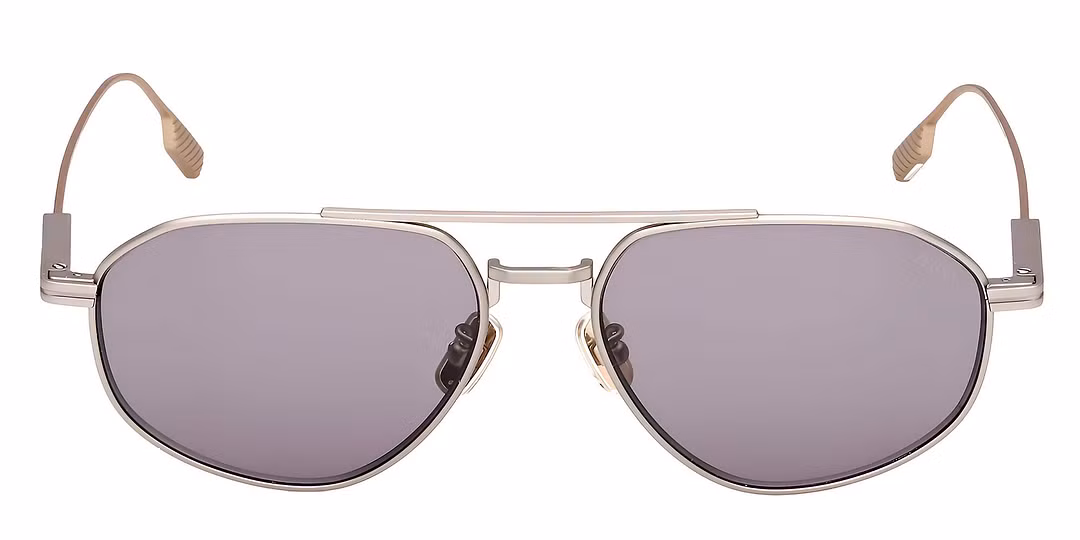 Ermenegildo Zegna EZ0289