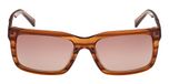 LIGHT BROWN / HORN / LIGHT BROWN/HORN / BROWN POLARIZED