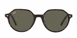 HAVANA / havana / green