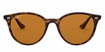 HAVANA / havana / polarized brown
