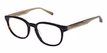 TORTOISESHELL