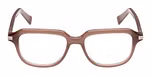 Shiny Light Brown / Shiny Light Brown